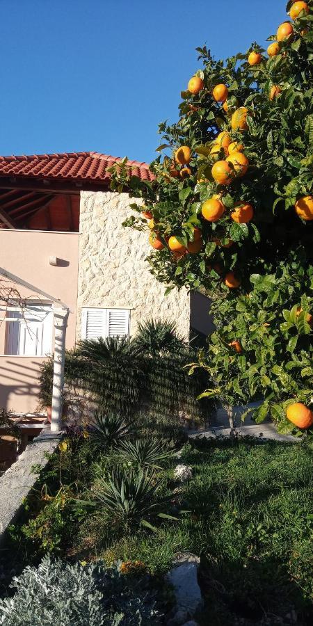 Apartament Karoma Sunroof Mlini Zewnętrze zdjęcie